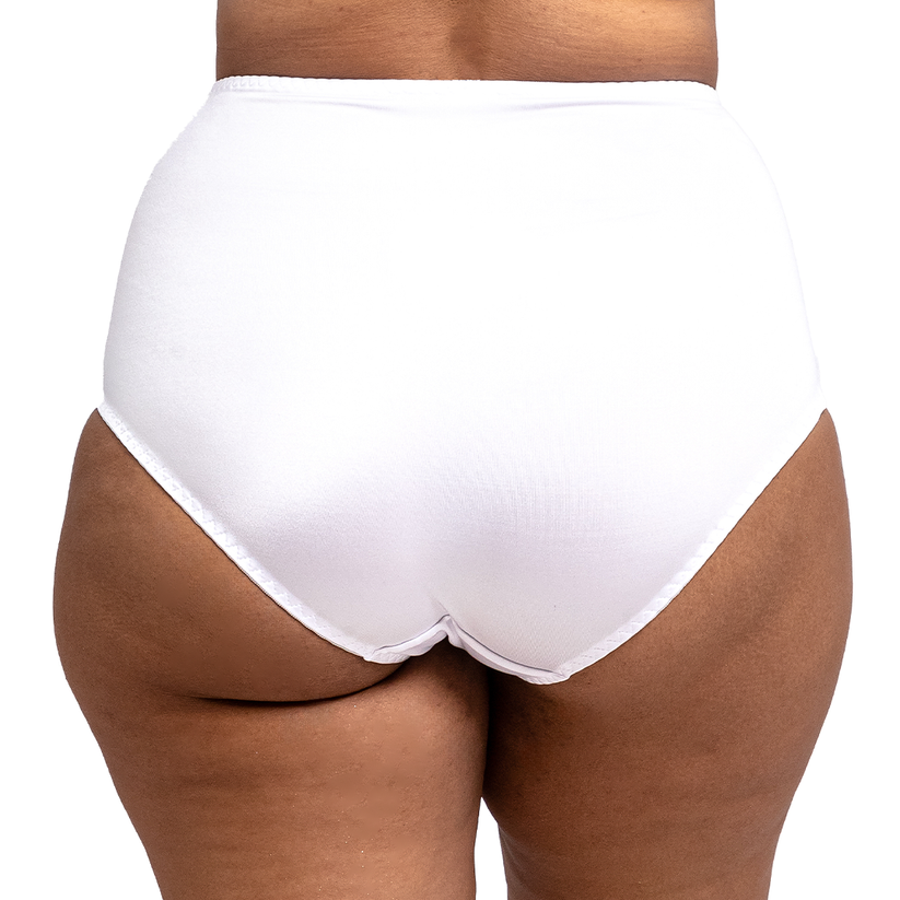 8842 Panty básica con control abdominal 8842 Carnival – Carnival Lenceria